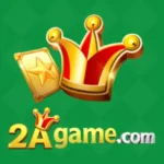 2a-game